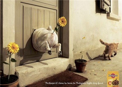 pedigree-light-most-interesting-and-creative-ads.jpg