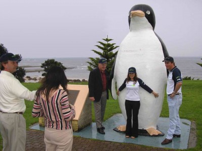 big_penguin.jpg