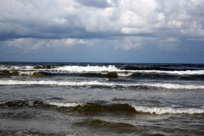 IMG_6995.jpg