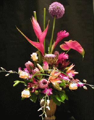 apricot03.jpg