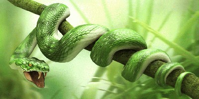 snake_by_CR_67.jpg