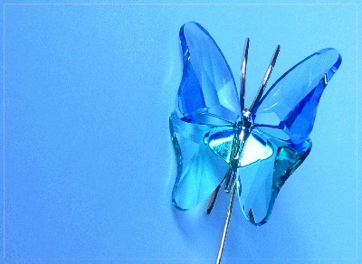 Wings_of_Glass.jpg
