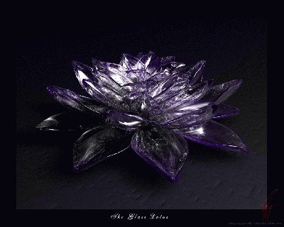 Glass_Lotus_by_vampiremackenzie.jpg