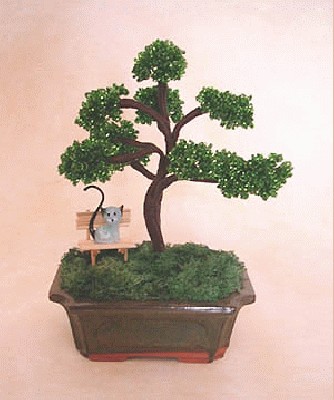 bonsai-ming1.jpg
