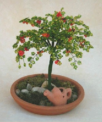 bonsai2-aranci.jpg