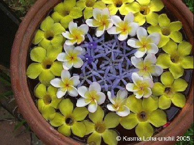 Flower%20Arrangement.jpg